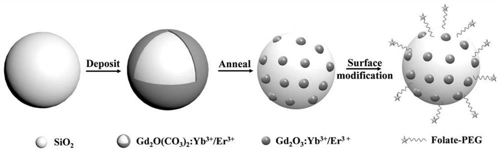 Photomagnetic nanoprobe with core-point shell structure as well as preparation method and application of photomagnetic nanoprobe