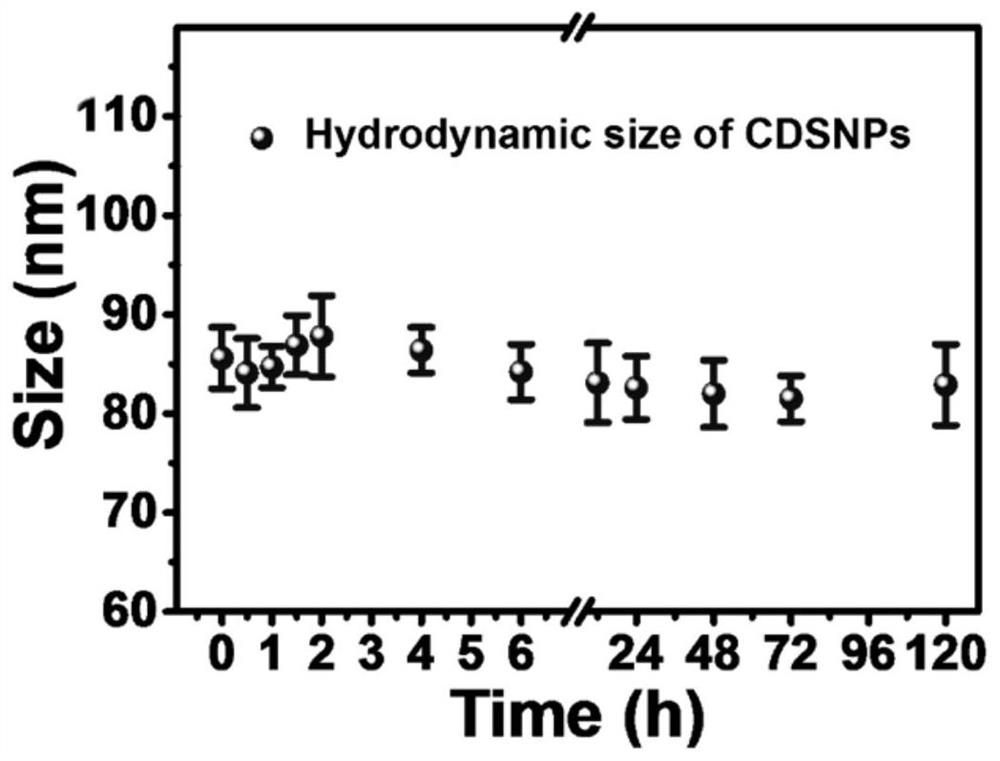 Photomagnetic nanoprobe with core-point shell structure as well as preparation method and application of photomagnetic nanoprobe