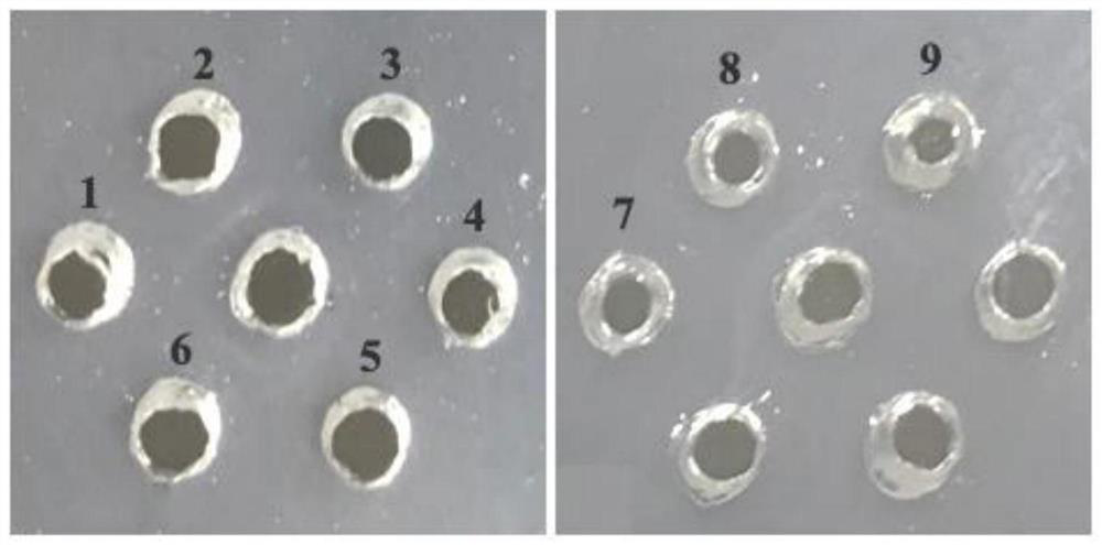 Preparation and application of enhanced serum avian adenovirus type 4 subunit vaccine