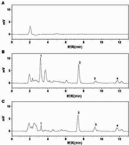 Preparing method and application thereof of functional magnetic MOFs (Metal-Organic Frameworks) material