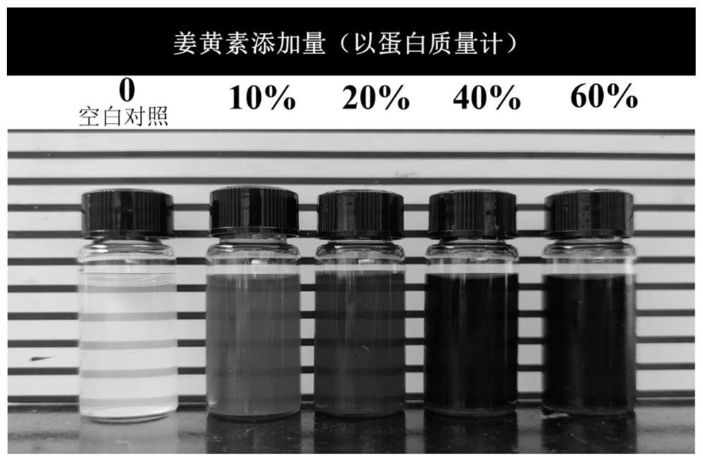 High-load and high-stability protein-based curcumin product as well as preparation method and application thereof