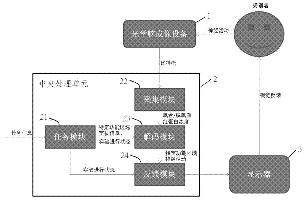 Neural feedback training system and neural feedback training method on basis of optical brain imaging