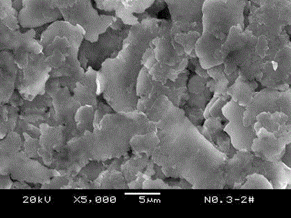 Method for preparing graphene in screw extruder through crystal form inducing