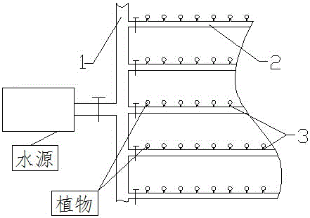 Steam-reducing water-saving method utilizing molybdenum-containing microbial fertilizers and application of method in lodgepole pines planted in saline-alkali soil