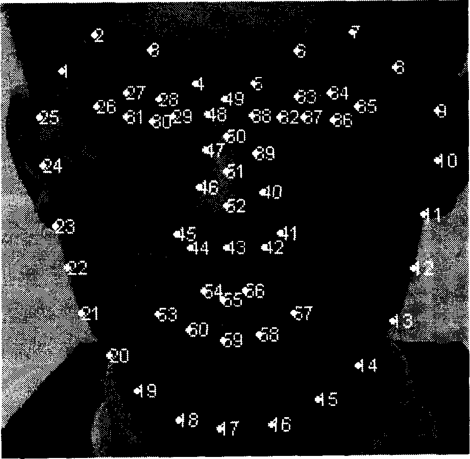 Melthod for realizing searching new position of person's face feature point by tow-dimensional profile