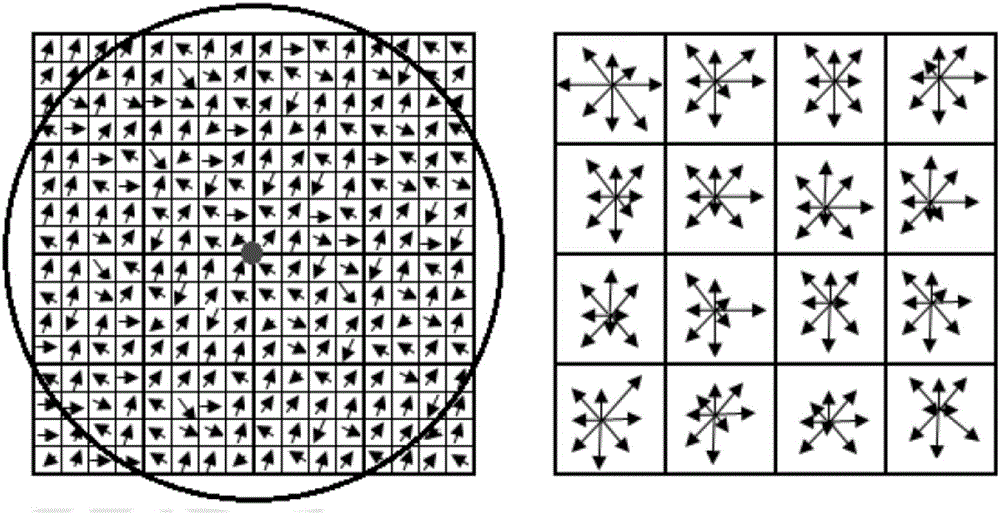 Unmanned plane image geometric processing method giving consideration to precision and speed