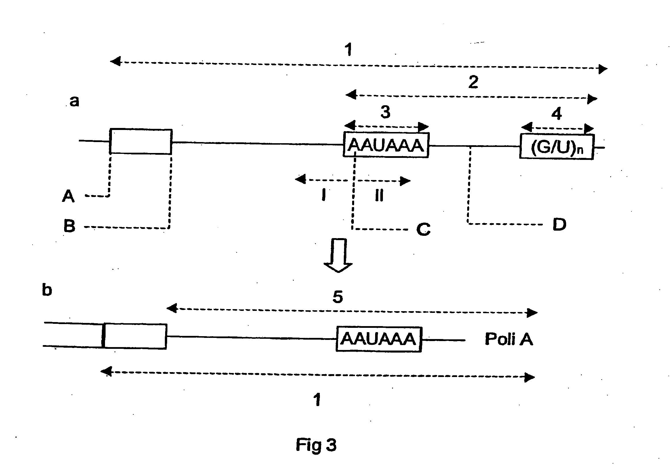 Method of reversible inhibition of gene expression by means of modified ribonucleoproteins