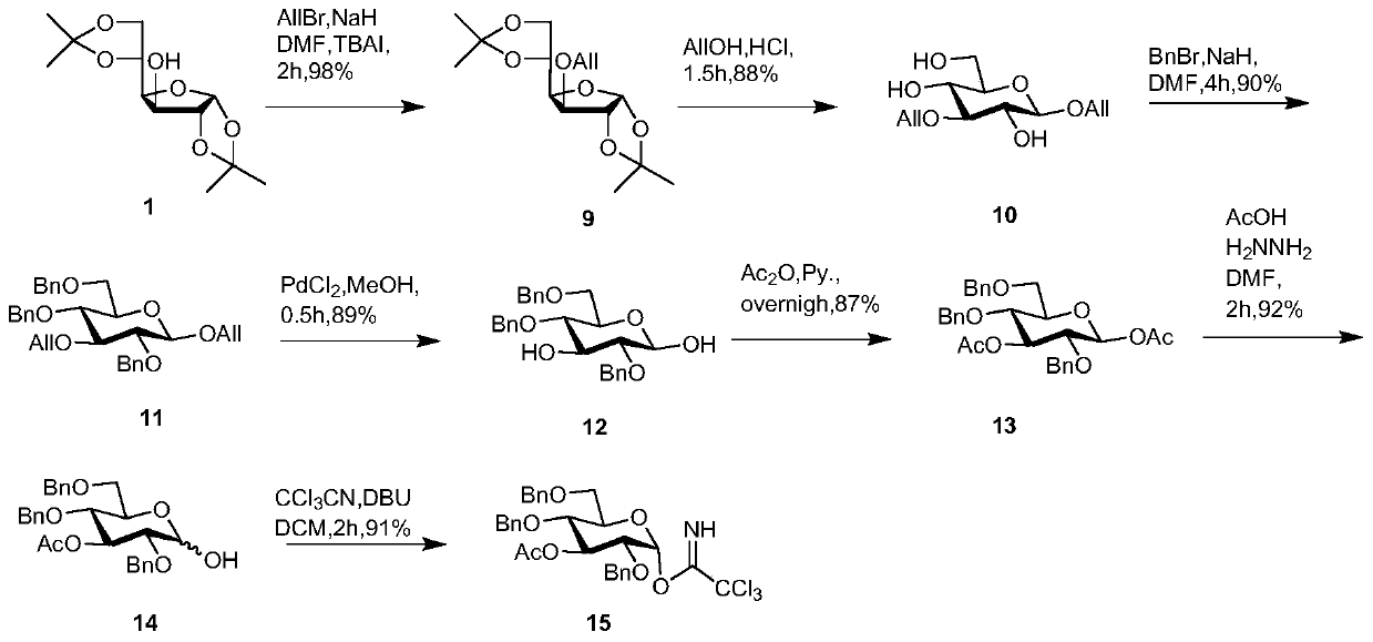 Synthesis of helicobacter-pylorus O2 serotype O antigen oligosaccharide compound