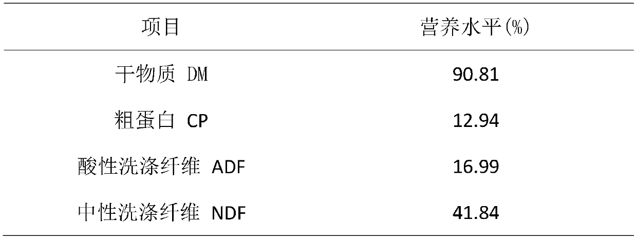 Composite enzyme preparation and sheep feed with added composite enzyme preparation