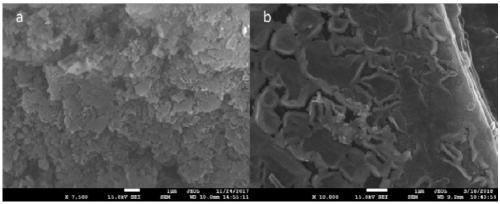 Catalyst for catalytically oxidizing methylbenzene to compound benzaldehyde and preparation method thereof