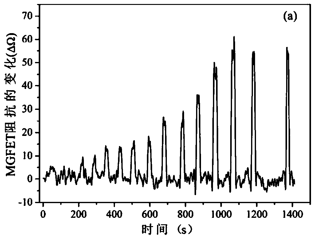 Magnetic control graphene field effect transistor sensor, and manufacturing, measuring and detecting method thereof