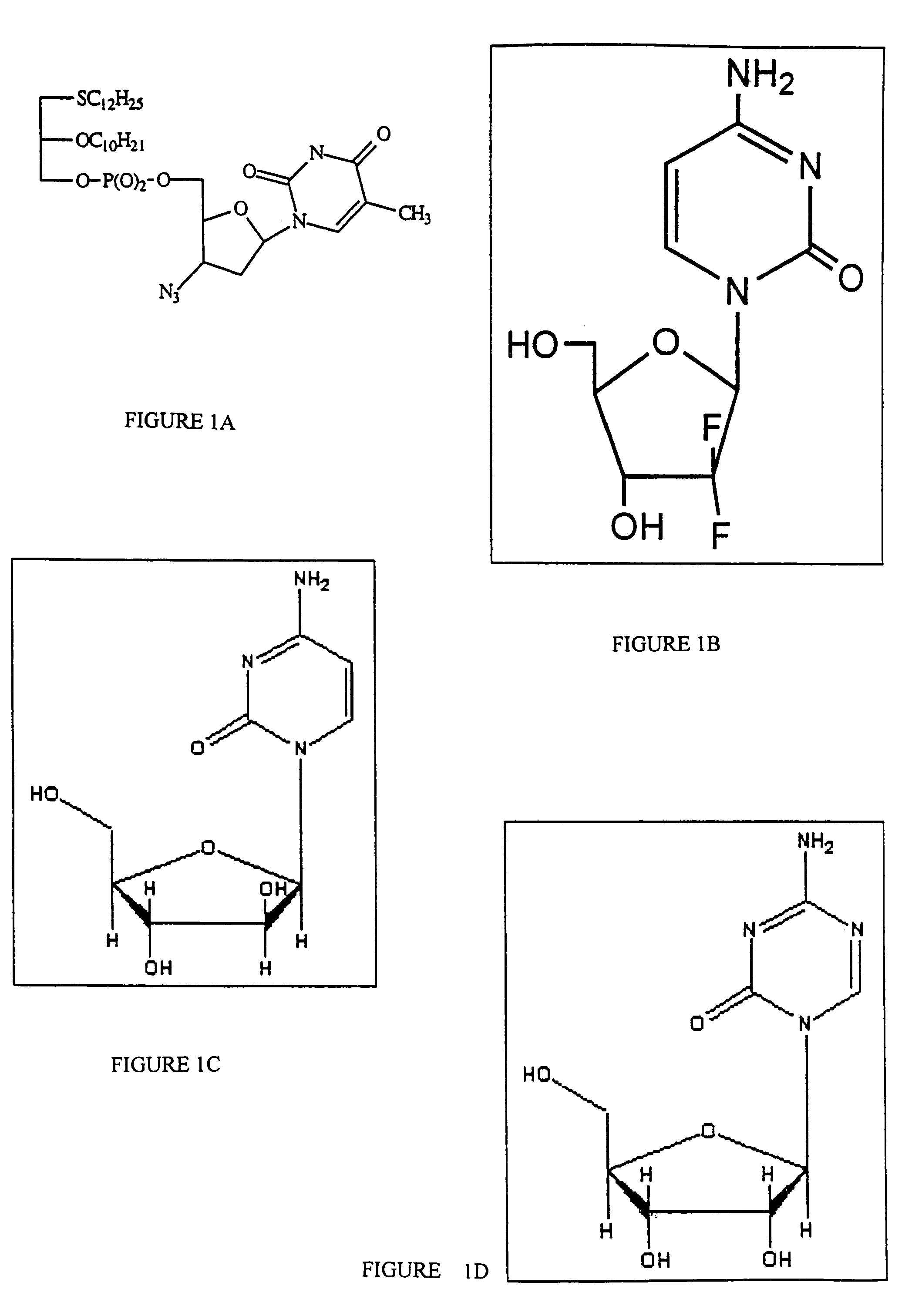 Compositions and methods for targeting cancer cells