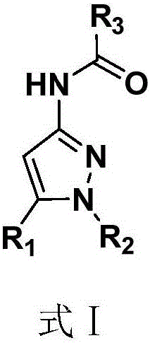 Pyrazole amide compounds as well as preparation method application of pyrazole amide compounds