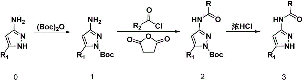 Pyrazole amide compounds as well as preparation method application of pyrazole amide compounds