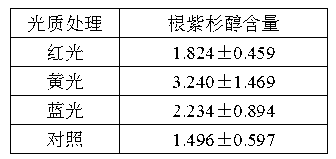 Culturing method for improving content of paclitaxel in taxus chinensis