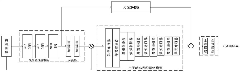 Image classification identification method and device based on adaptive dynamic convolutional network, and computer equipment