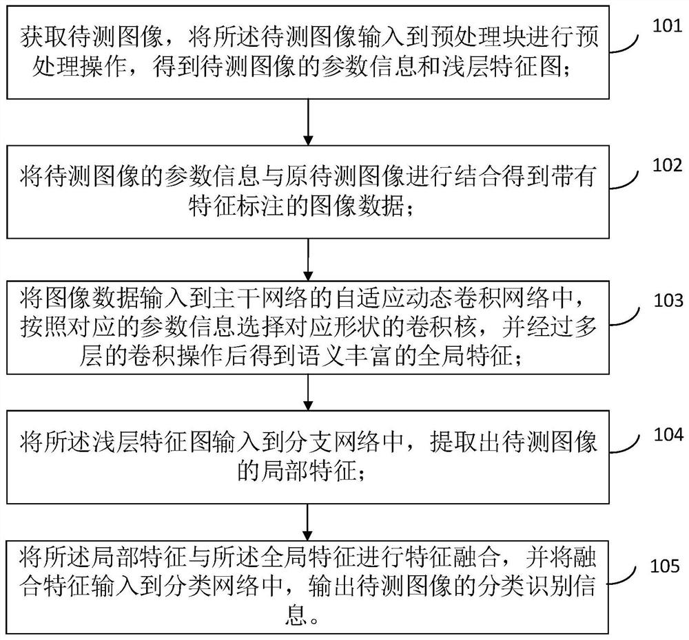 Image classification identification method and device based on adaptive dynamic convolutional network, and computer equipment