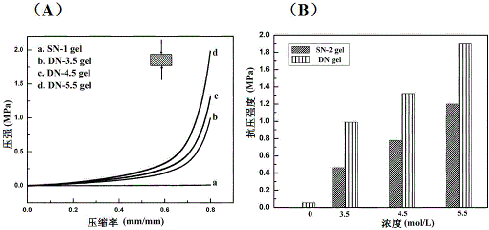 Chitosan-based double-network hydrogel and preparation method thereof