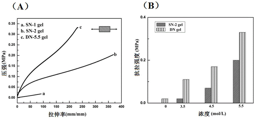 Chitosan-based double-network hydrogel and preparation method thereof