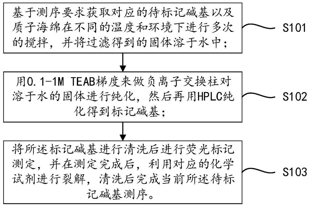 Three-color high-throughput sequencing reagent and sequencing method