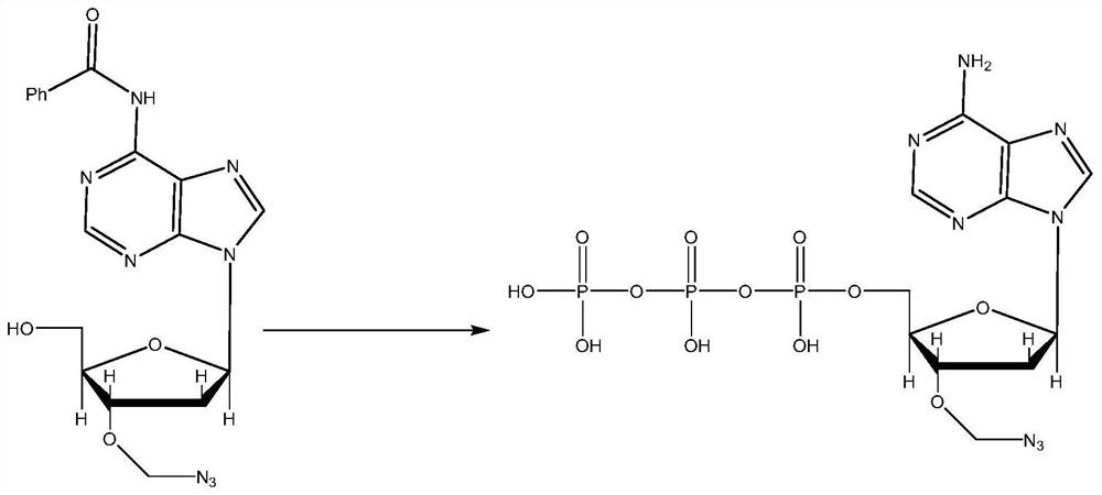 Three-color high-throughput sequencing reagent and sequencing method