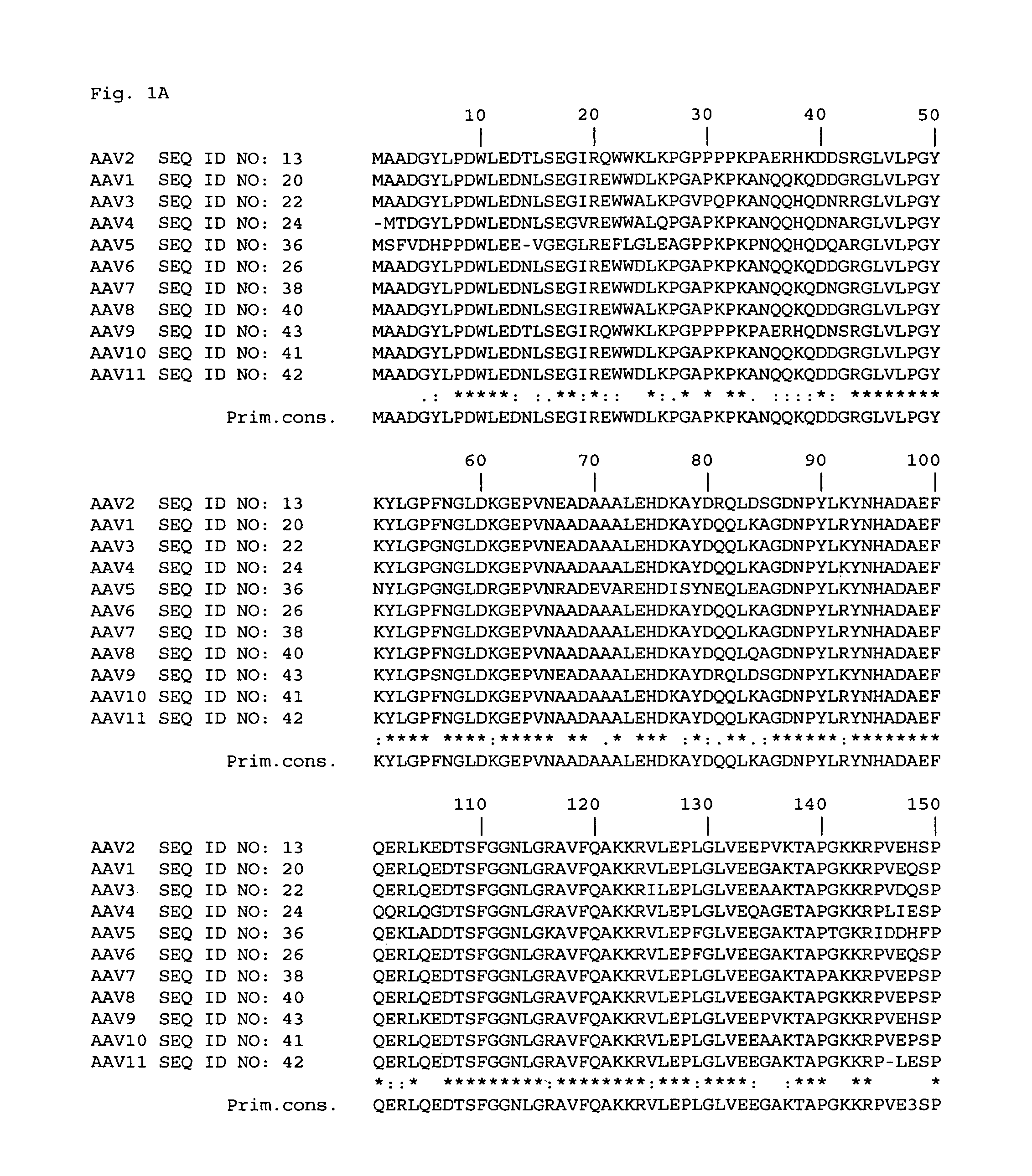 AAV vectors and methods