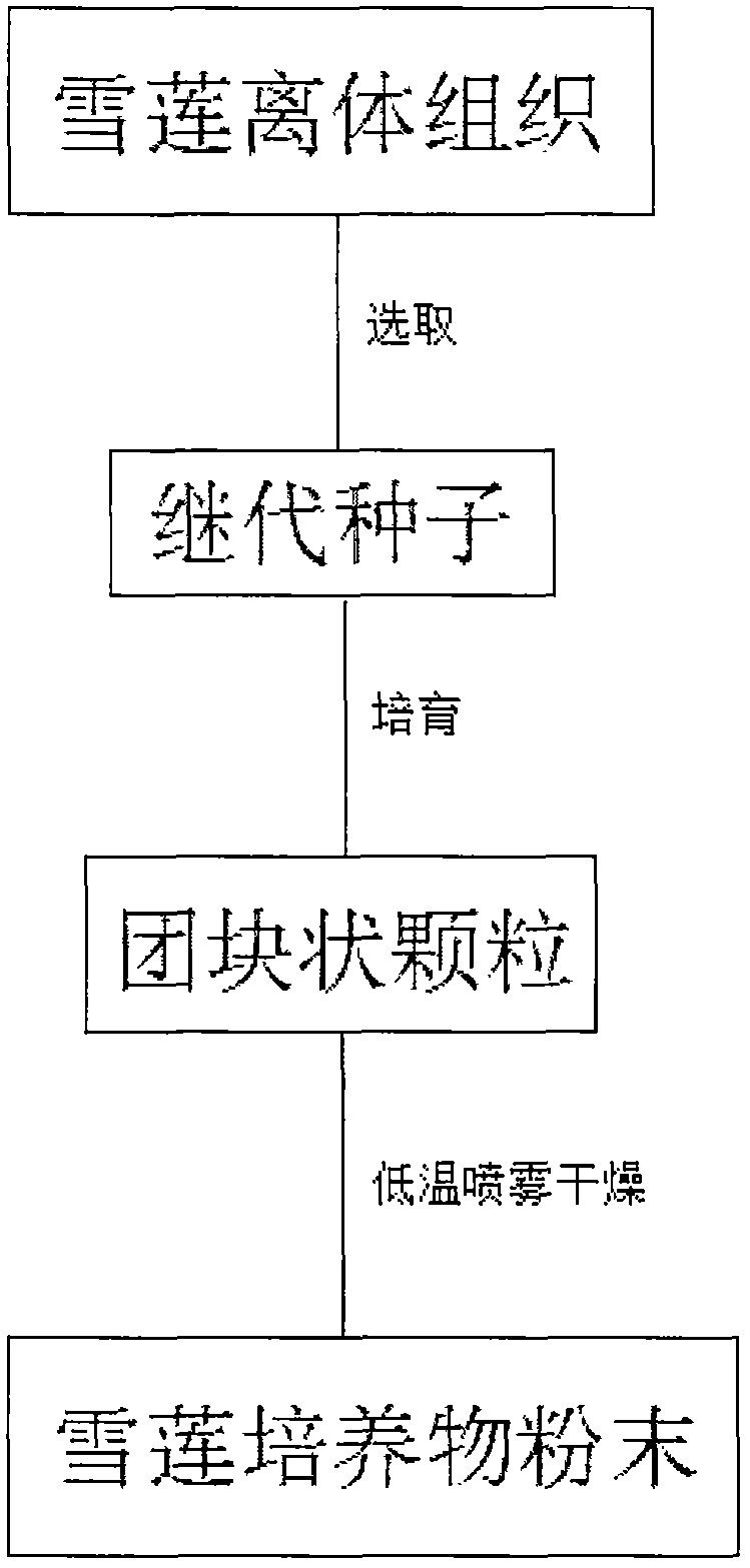 Compound chitosan oligosaccharide meal capable of conditioning symptom of cancer and preparation method of compound chitosan oligosaccharide meal