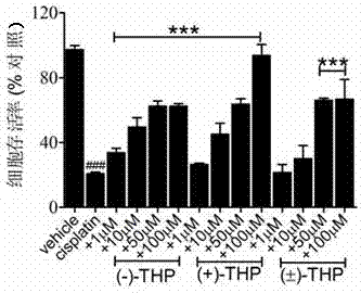 Application of tetrahydropalmatine in the preparation of anti-cisplatin toxicity drugs