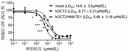 Application of tetrahydropalmatine in the preparation of anti-cisplatin toxicity drugs