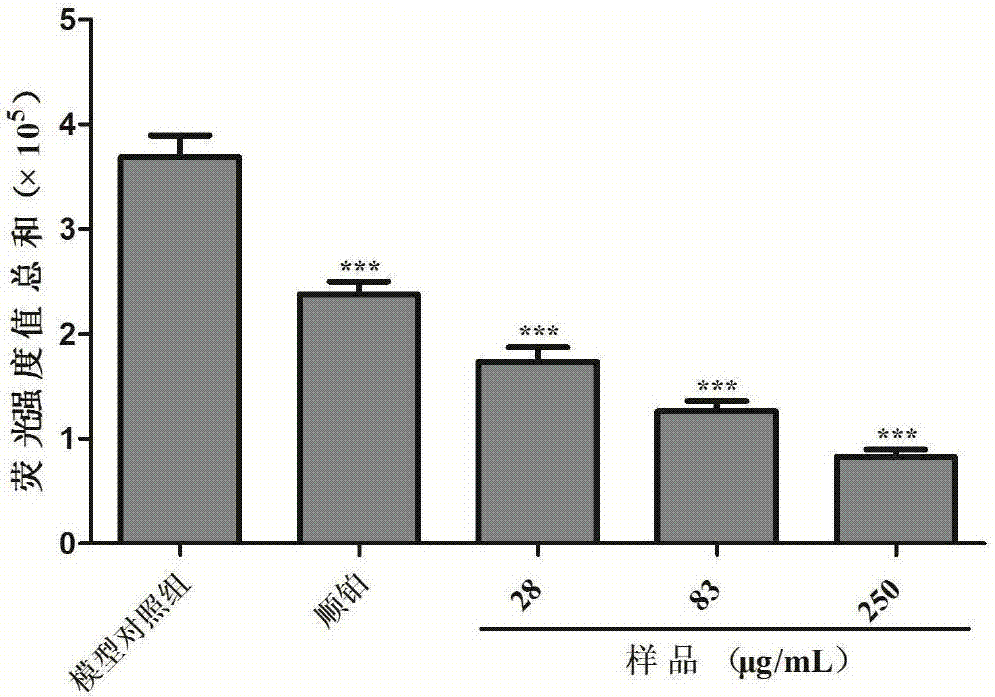 Shell-broken ganoderma spore powder and particle combination and preparation method thereof