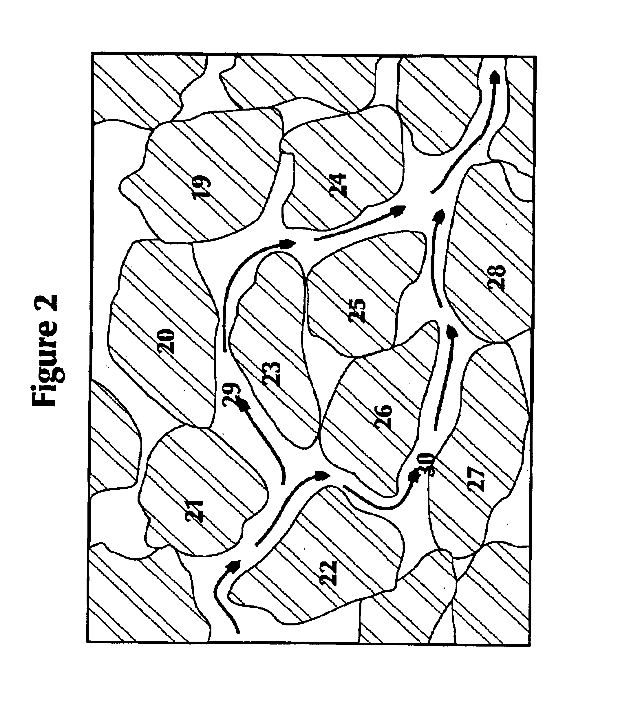 Mapping permeable reservoir formations by measuring the elastic nonlinear interactions of a seismic wave as it propagates through the reservoir rock matrix and its pore fluids