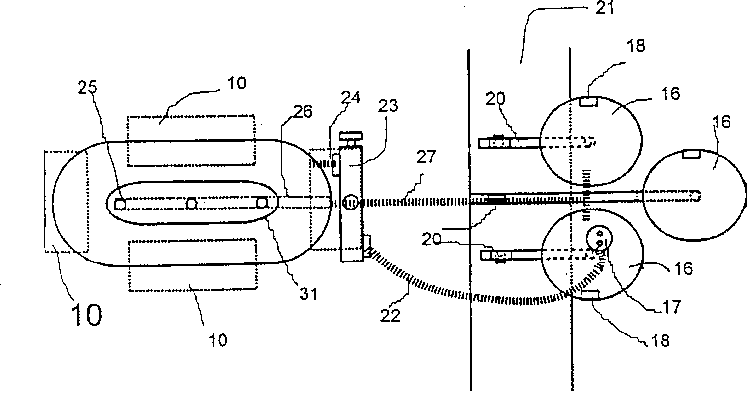 Crustacean larva raising method and apparatus