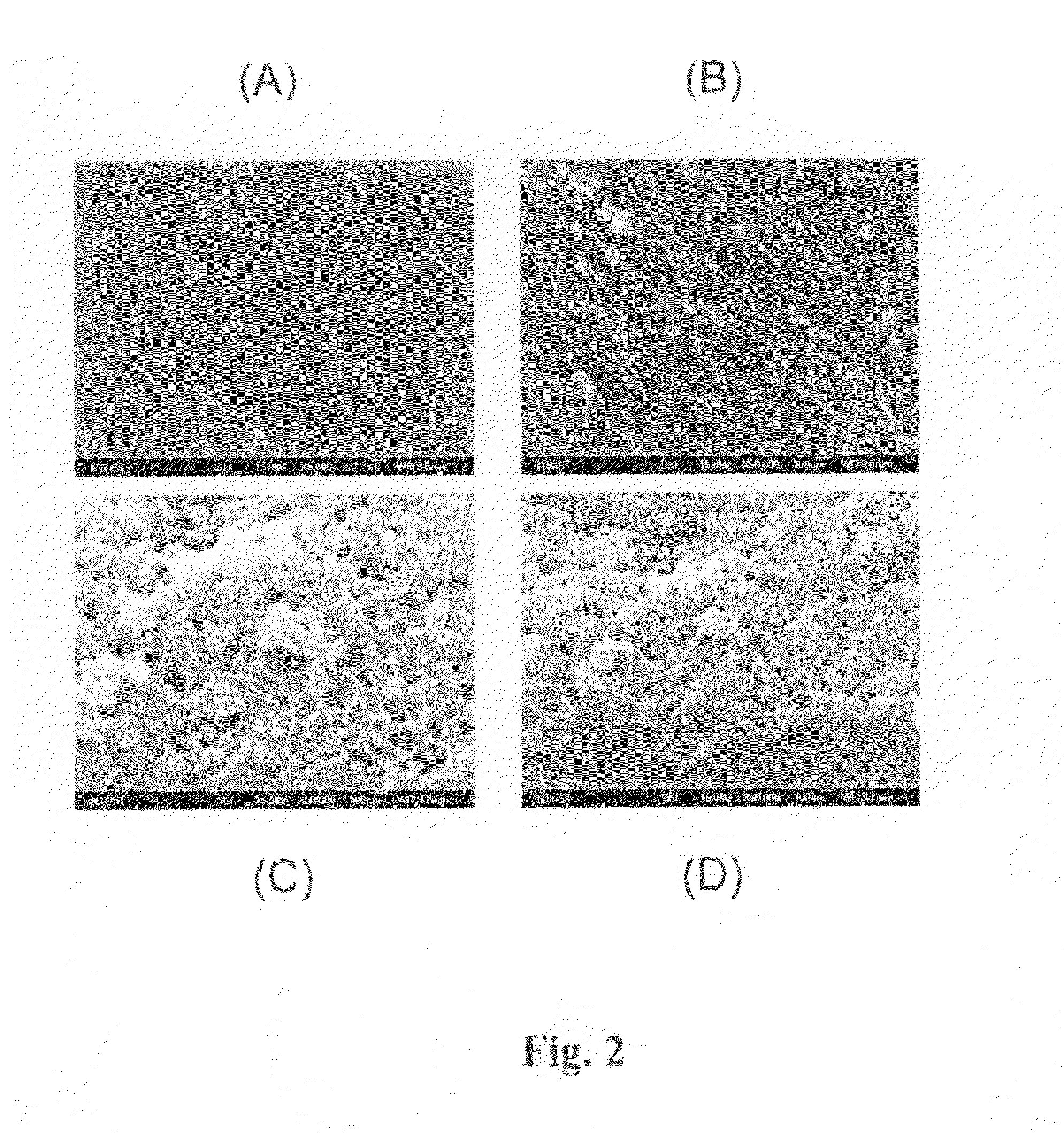 Bacterial cellulose film and carbon nanotubes-like thin film structures developed from bacterial cellulose