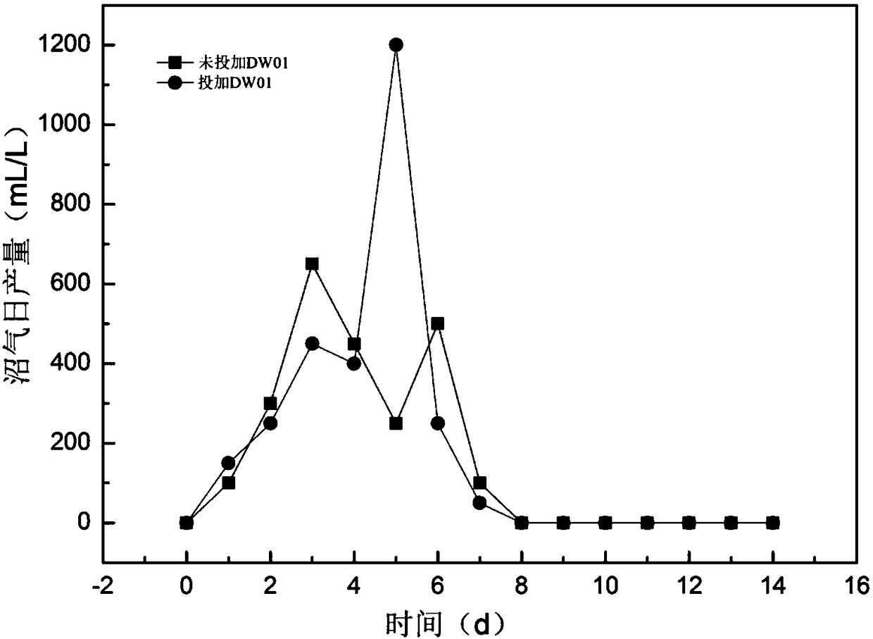 Fermenting hydrogen-producing bacterium and method of preventing calcification of activated sludge