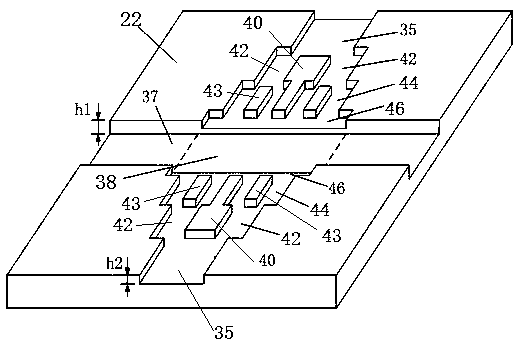 Microfluidic cell culture chip guaranteeing uniform cell distribution and cell sample introduction method