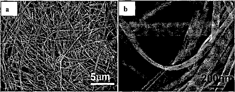 Titanium dioxide nano paper and preparation method thereof