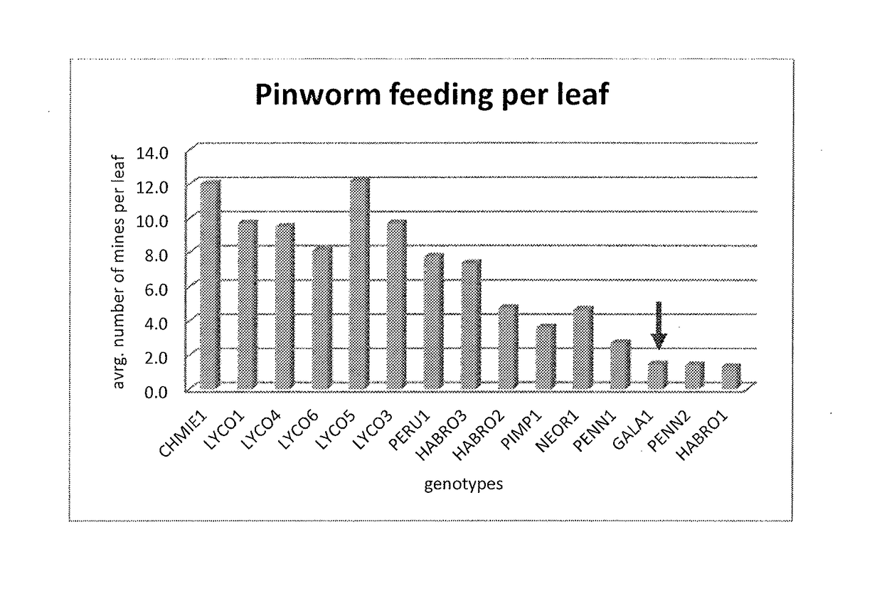 Resistance to arthropod pest in tomatoes