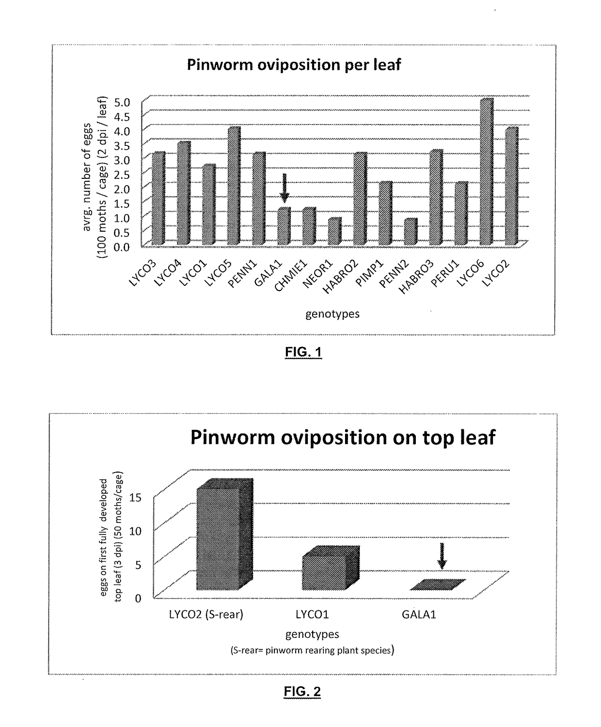 Resistance to arthropod pest in tomatoes