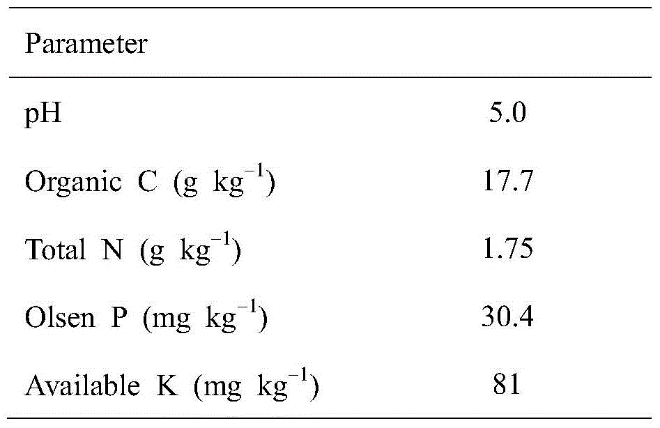 A high-yield and high-efficiency cultivation technique for dry direct-seeding rice