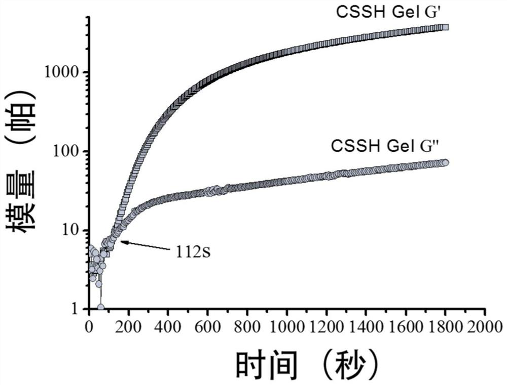 Preparation method and application of a thiolated polysaccharide-based hydrogel capable of in-situ injection molding and its drug carrier