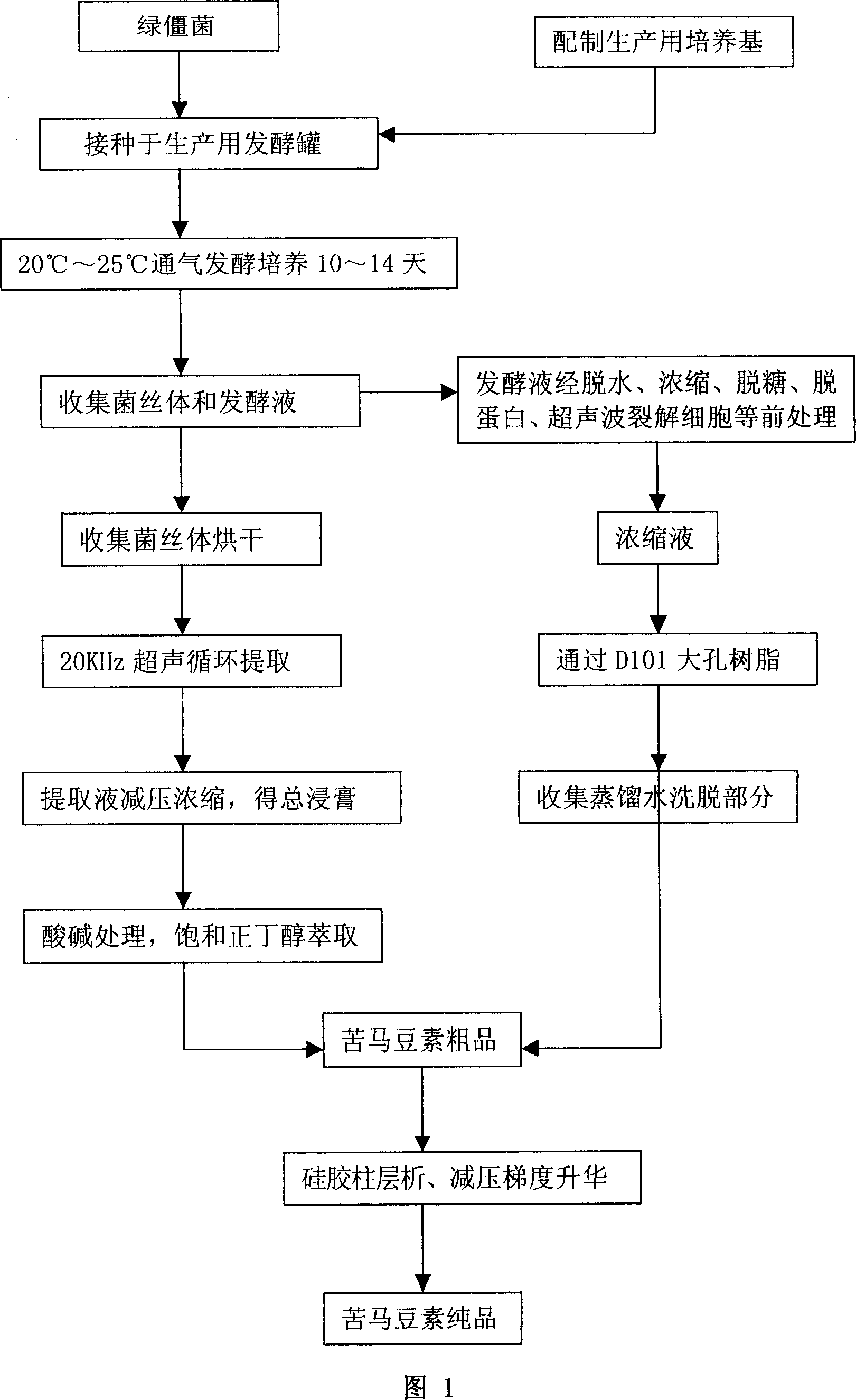 Technique for purifying spherosinin by fermenting green muscardine fungus