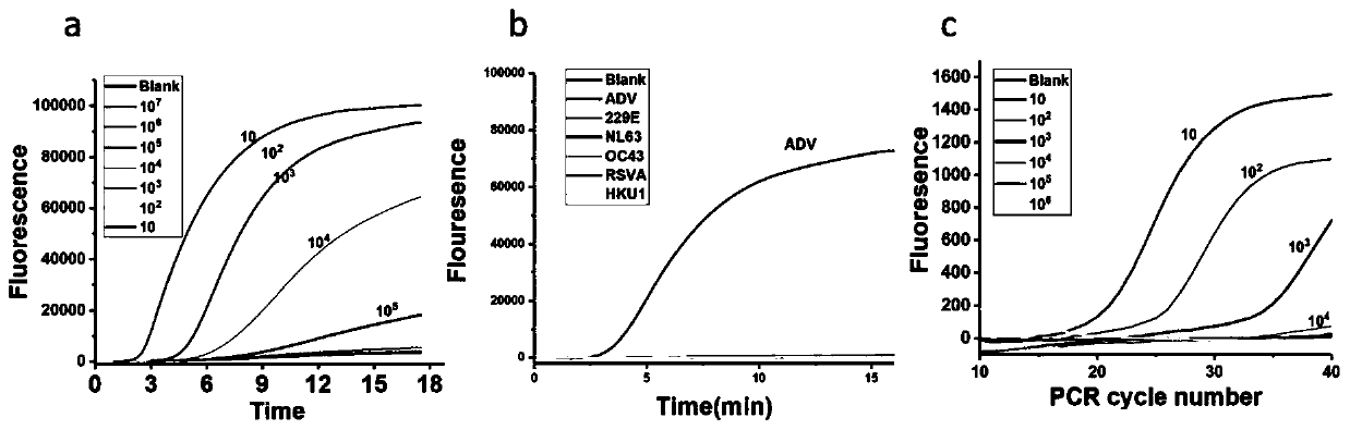 RPA primers, probe sets and kit for detecting respiratory viruses