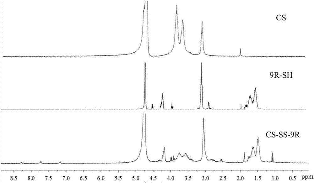 siRNA echovirus delivery system with shell-core structure and application of system