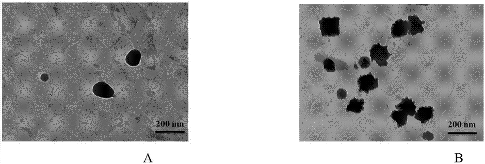 siRNA echovirus delivery system with shell-core structure and application of system