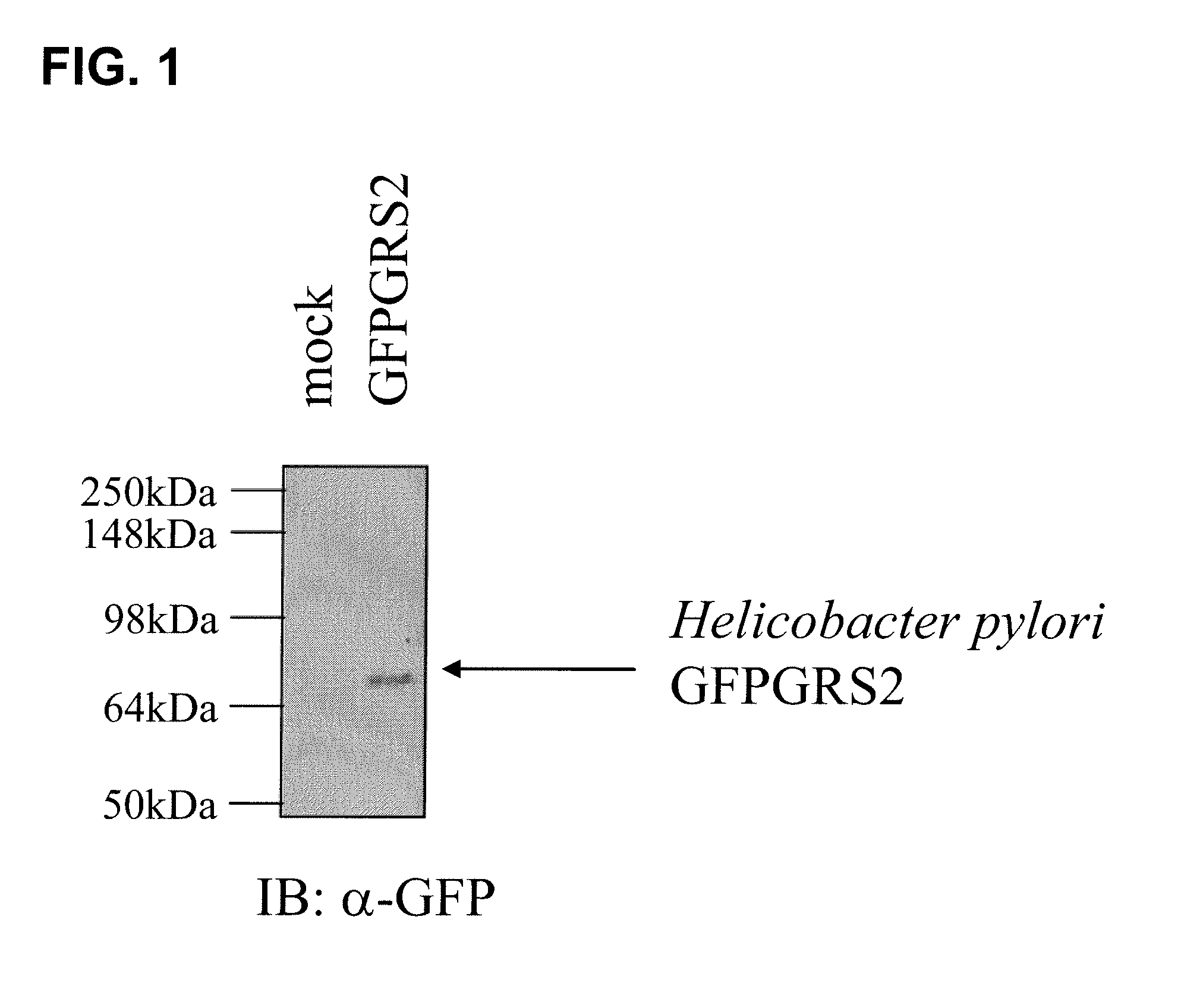 Screening Method for Identifying New Drugs