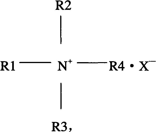 Hair care composition and preparation method thereof