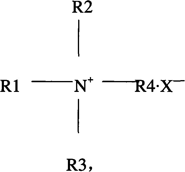 Hair care composition and preparation method thereof