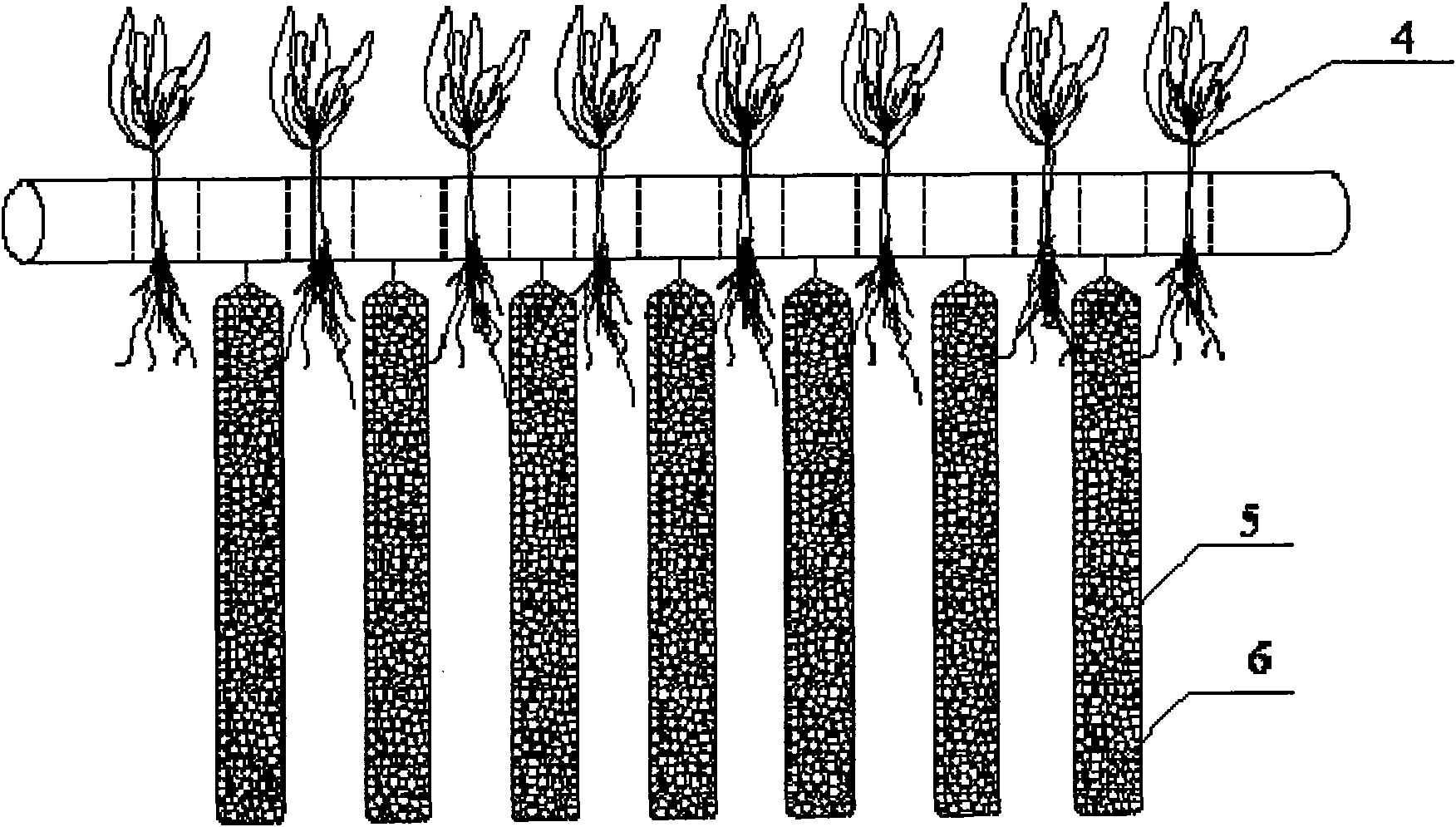 Method for processing arsenic polluted water body by enrichment adsorption coupling