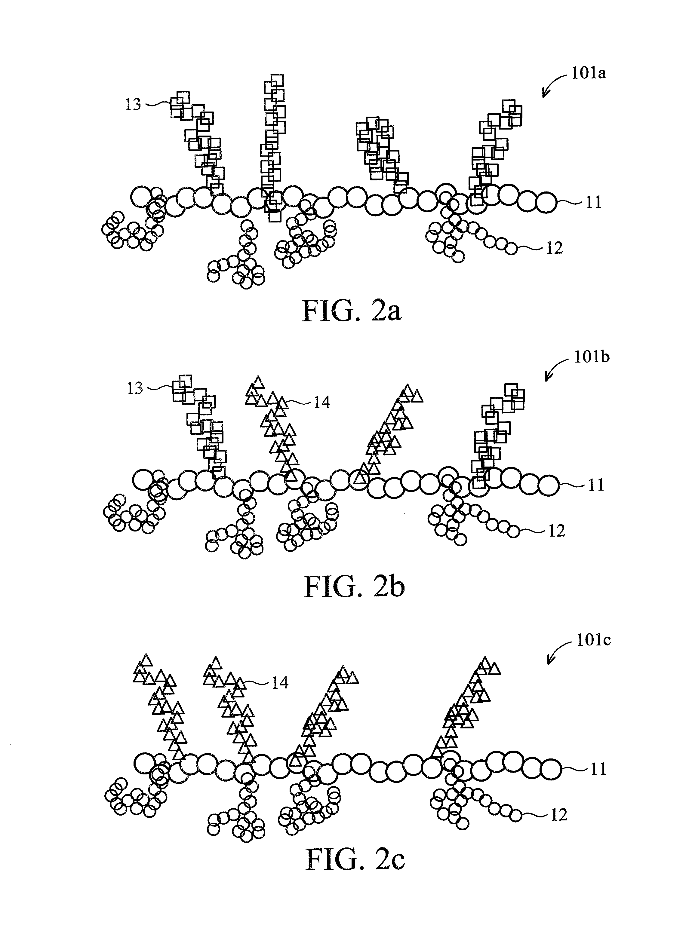 Brush polymer and medical use thereof