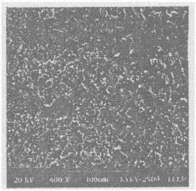 Healthcare meal package with anticancer function and preparation method thereof